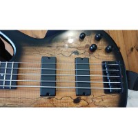 Ibanez 5-String Bass (Pre-Owned)