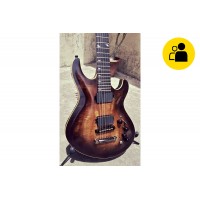 Erisa Neogy Custom Electric Guitar (Pre-Owned)